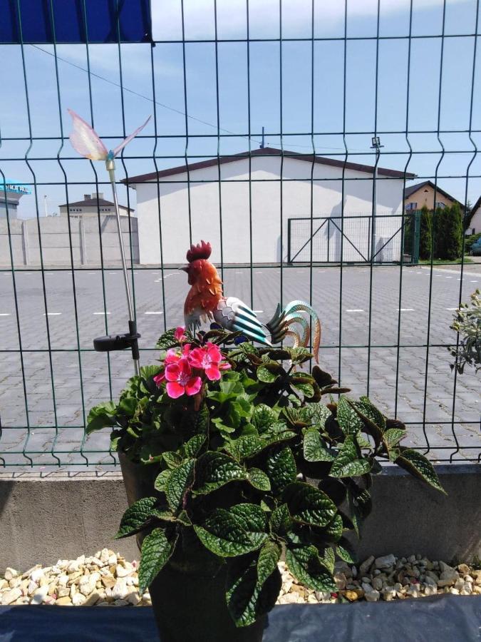 Pod Kogucikiem Aparthotel Krzyzanowice Eksteriør bilde