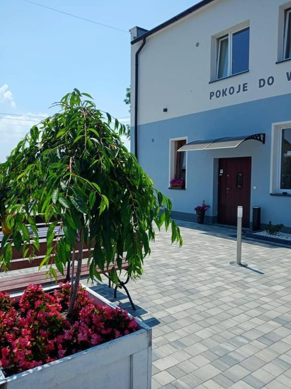 Pod Kogucikiem Aparthotel Krzyzanowice Eksteriør bilde